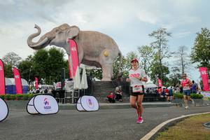 BIB: 
                            <button type="button" onclick="openModal(26528789)" class="btn btn-primary btn-sm float-right btn-popup" data-toggle="modal" data-target=".modal-high-quality">
                        <i class="fas fa-shopping-cart"></i> Add to Cart
                    </button>
                                            <button type="button" onclick="isThisMe(26528789, true)" class="btn btn-success btn-sm float-right btn-popup btn-isme hidden" data-toggle="tooltip" data-placement="bottom" title="นี่คือรูปของคุณใช่ไหม คลิกที่นี่เพื่อเอาเข้าอัลบั้ม">
                        <i class="fas fa-plus"></i> Add to album
                    </button>
                    <button type="button" onclick="isThisMe(26528789, false)" class="btn btn-warning btn-sm float-right btn-popup btn-isnotme hidden">
                        <i class="fas fa-ban"></i> Remove from album
                    </button>